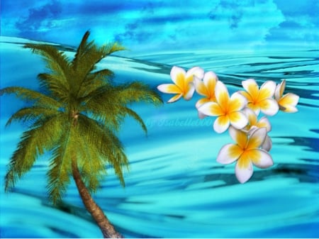 â•°â€â•®Tropics . - sky, tropics, palm tree, fantasy, clouds, blue, flowers, sea, plumeria