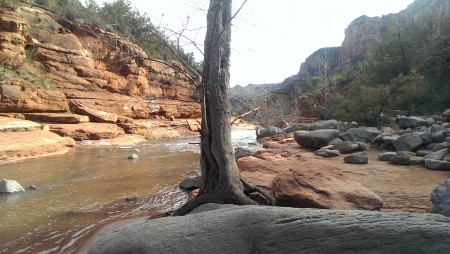 Sedona, Arizona - sedona, arizona, sky, trees, water, rocks