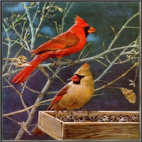 CARDINALS