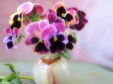 lovely pansies - flowers, still life, lovely, vase, pansies