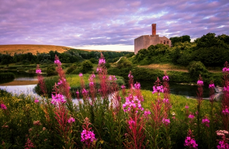 Spring, Wales - clouds, hills, beautiful, shrubs, grass, pink, flowers, river, old castle, green