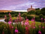 Spring, Wales