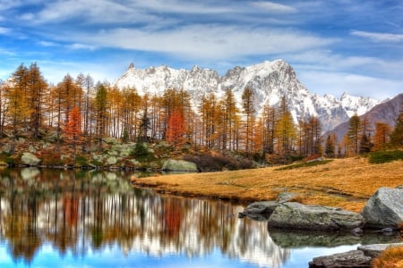 Snowy Alps - autumn, lake, trees, reflection, beautiful, snowy peaks, mountains, grass