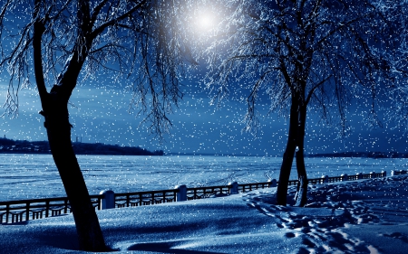 Winter - snow - winter, moon, trees, snow