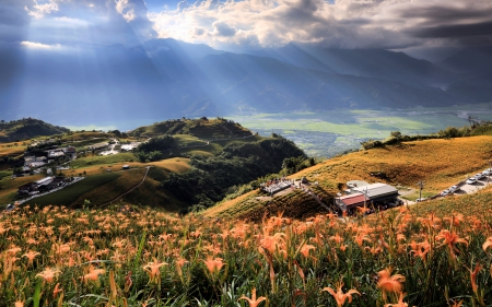 Mountains - flowers - mountains, flowers, landscape, sun rays