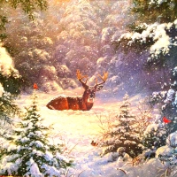 â˜…Deer in the Snowâ˜…