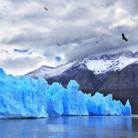Blue Glacier