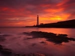 Lighthouse Sunset in Angus, Scotland