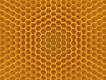 Honeycomb