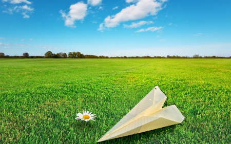 Beautiful Nature. ^_^ - beautiful, field, jasmine, nature