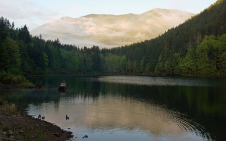 lake - lake, forest, cool, fun, nature, mountain