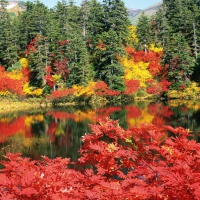 Autumn in Japan