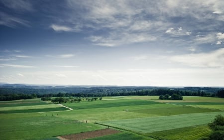 field - forest, cool, field, fun, nature