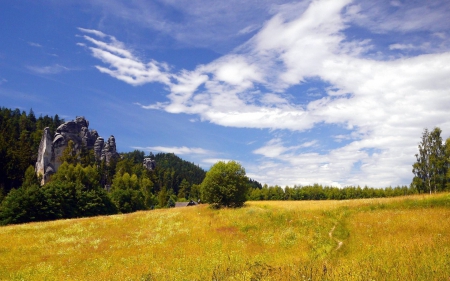 field - nature, fun, forest, cool, field