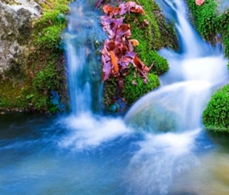 Mountain Falls - nature, mountain, trees, water, waterfall