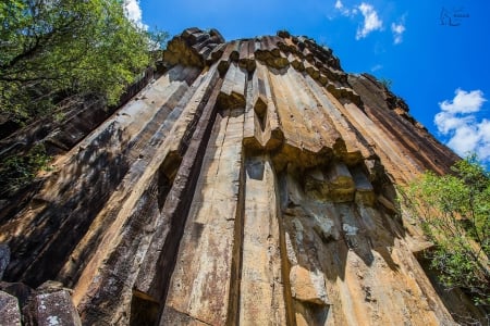 Narrabri, Australia - cool, fun, tree, nature, mountain