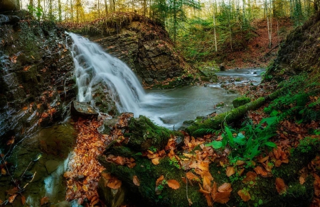 Waterfall - nature, forest, waterfall, beautiful