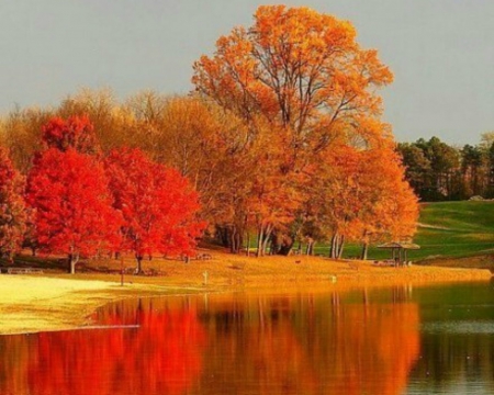 Autumn Lake - lake, trees, nature, autumn