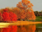 Autumn Lake