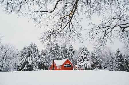 Nature - house, nature, snow, cold