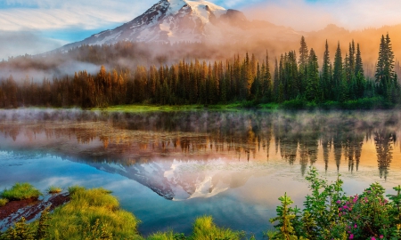 Mount Reflection - fog, rivertrees, mountain, river