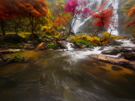 Autumn River - autumn, trees, forest, river, rock, waterfall