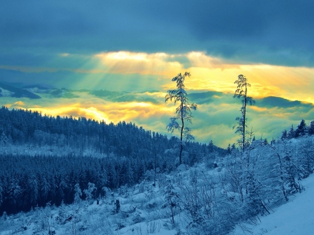 Blue Winter - clouds, trees, winter, rays, blue, snow, mountains, sky