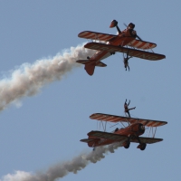 Wing Walking