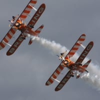 Wing Walking