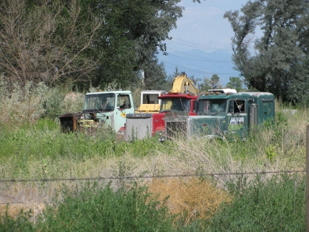 Buried Treasure - truck, semi, rigs, pete