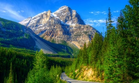 Road To The Mountains - trees, forest, beautiful, green, summer, blue sky, mountains, road