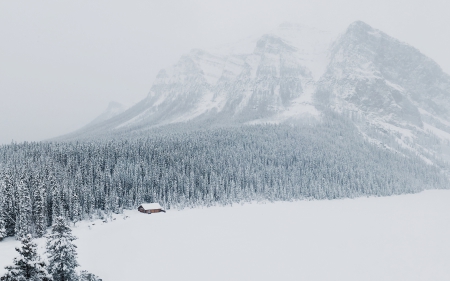 Winter - alberta, lake, winter, mountains, nature, lake louise, view, winter time, snow