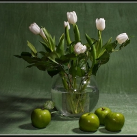 Apples and Tulips