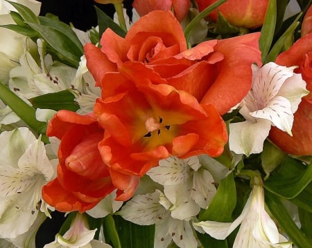 Flowers - flowers, garden, white, orange