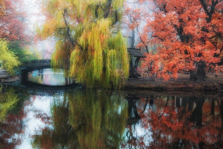 Wonderful Colors - wonderful, river, colors, bridge