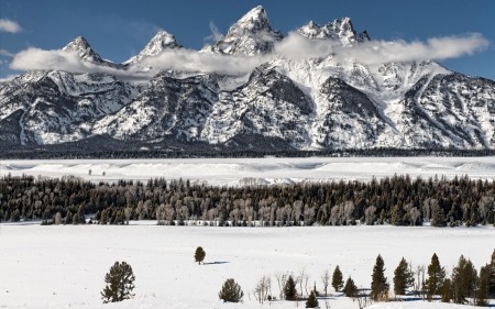 splendid of winter - snow, wonderful, splendid, winter