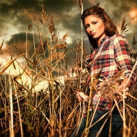 Cowgirl In A Field