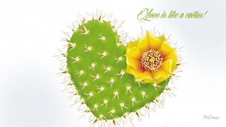 Love Like a Cactus - blossom, whimsical, Valentines Day, cactus, love, flower, plant