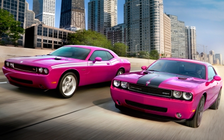 Dodge Challenger RT SRT8 - Furious Fuchsia - vehicles, cars, Dodge Challenger SRT8, Dodge Challenger RT, pink cars, Dodge