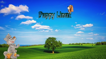 Puppy Linux - f, a, s, d