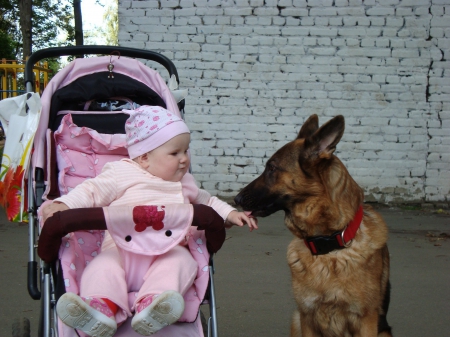 making friends dog and child - friendly, cute, dog, adorable, child