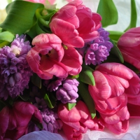 Pink Tulips and Lilacs