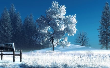 Digital Winter - bench, tree, landscape, snow