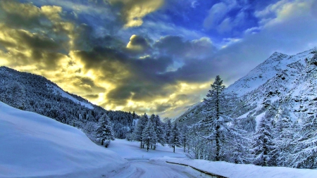 Mountains in Winter - trees, landscape, snow, firs, light