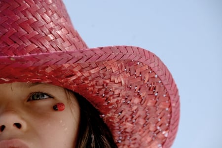 Ladybug Cowgirl - hat, cowgirl, country, ladybug