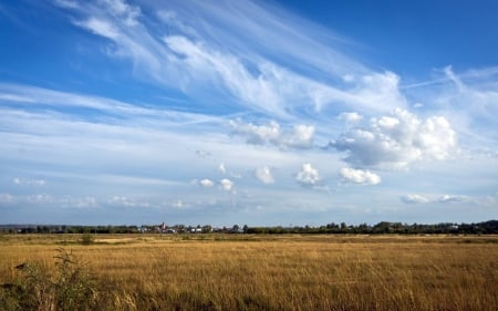 field - nature, fun, cool, clouds, field