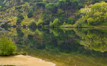 forest lake - lake, forest, cool, fun, nature