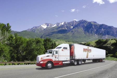 Navajo Transport - semi, truck, navajo, trailer