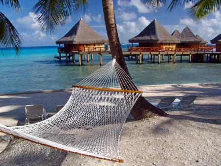 Morning Relax In Nassau - summer, beach, beautiful, hammock, sea, vacations, tropical, palm trees, paradise, marine resort