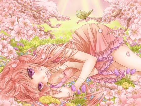 Spring - nice, beauty, female, anime girl, spring, angelic, laying, cherry blossom, pretty, anime, sakura blossom, maiden, lady, girl, long hair, pink hair, cherry, lay, lovely, floral, sakura, pink, beautiful, blossom, sweet, dress, flower